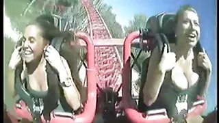 Doggy Style on chair