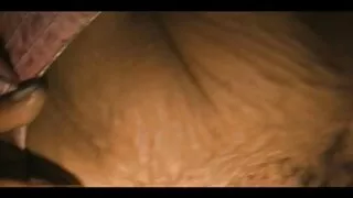 මිහිරි ස්ට්රෝබෙරි කළු ගම්මිරිස් මත පාගා